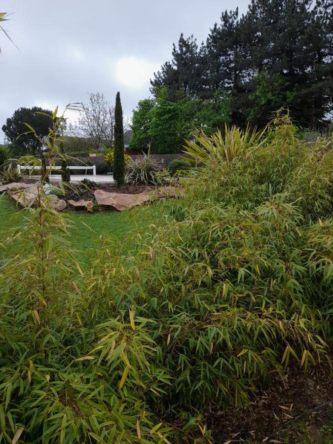Chambre Dans Un Ecrin De Verdure Angrie Exterior photo